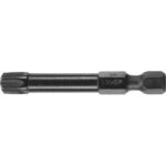 Биты ЗУБР "ПРОФИ" TORX, тип хвостовика E 1/4", T40, 50мм, 2шт, на карточке